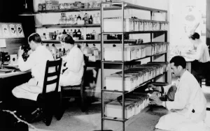 Armodafinil en Modafinil merken