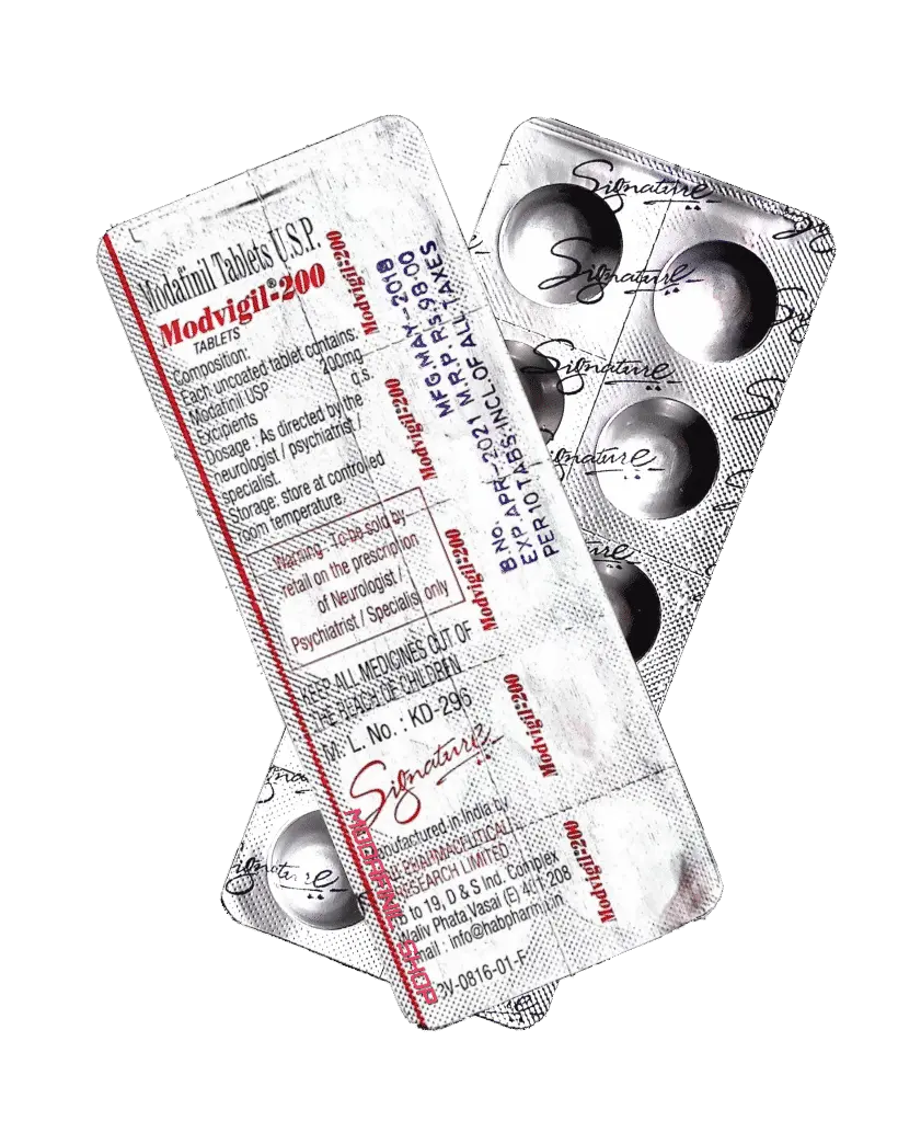MODVIGIL - Afbeelding 2
